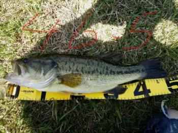 ¥Ö¥é¥Ã¥¯¥Ð¥¹