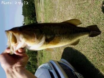 ¥Ö¥é¥Ã¥¯¥Ð¥¹