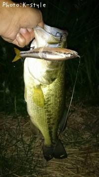 �֥�å��Х�