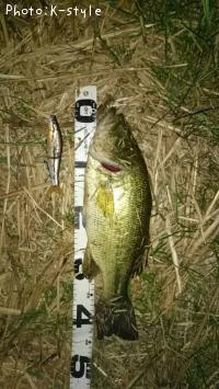 �֥�å��Х�