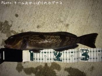 �����ʥ�