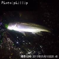 �����Х�