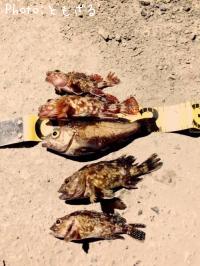 ���å��ե��å���