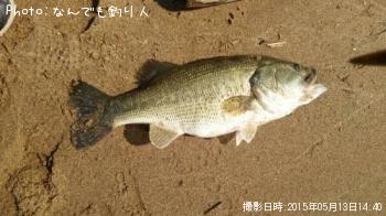 �֥�å��Х�