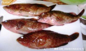 �����ϥ�