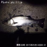 �����Х�