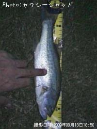 �֥�å��Х�