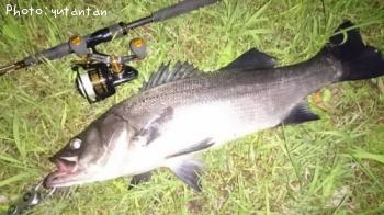 ¥Ò¥é¥Õ¥Ã¥³