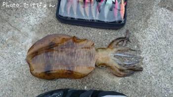 �����ꥤ��