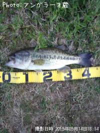 ¥Ö¥é¥Ã¥¯¥Ð¥¹