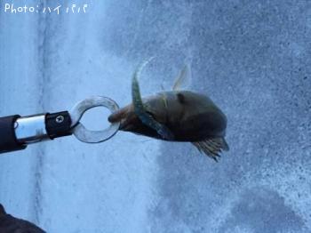 �����Х�