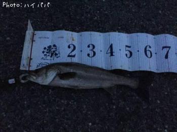 �����Х�