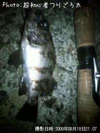 ��Х�