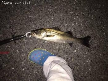 �����Х�