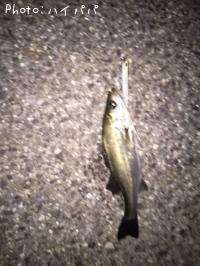 �����Х�