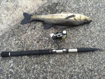 �����Х�