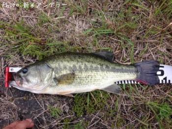 �֥�å��Х�