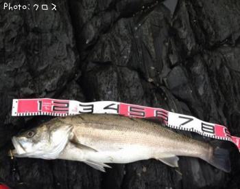 �����Х�