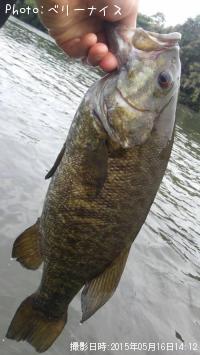 ���⡼��ޥ����Х�