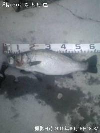 �ҥ饹����