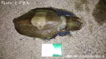 ��󥴥�����