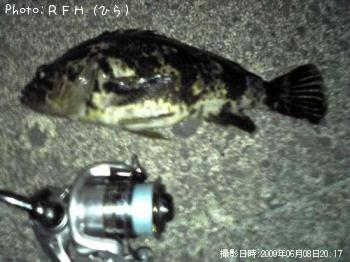 �٥å�������