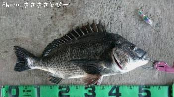 �����Х�����������