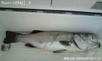 �ҥ饹����