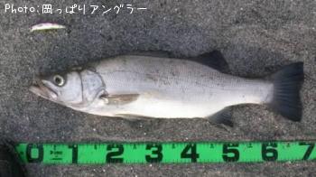 �ҥ饹����