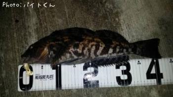 �����ʥ�