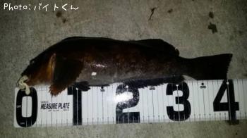 �����ʥ�