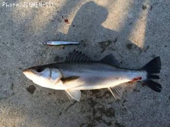 �ޤ����åѤʥ����Х���