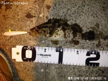 ¥¿¥±¥Î¥³¥á¥Ð¥ë