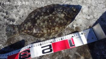 �ޥ����쥤