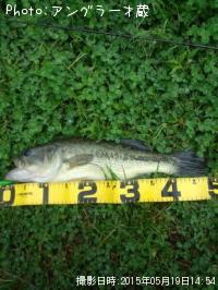 �֥�å��Х�