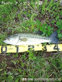 �֥�å��Х�