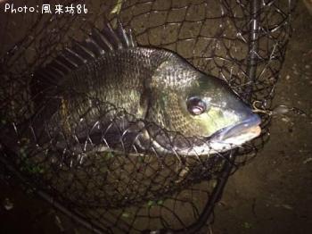 ��֥�å������Ĥ�ι���