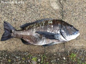 ��֥�å������Ĥ�ι���