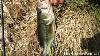 ¥Ö¥é¥Ã¥¯¥Ð¥¹