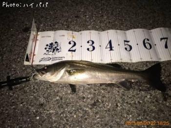 �����Х�