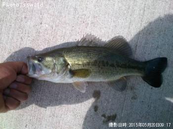 �֥�å��Х�