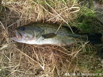 �֥�å��Х�