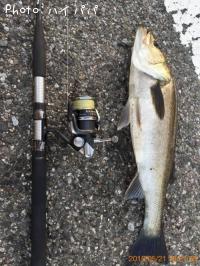 �����Х�