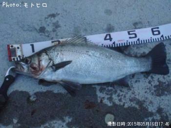 �ҥ饹����