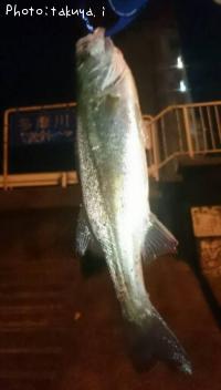 �����Х�