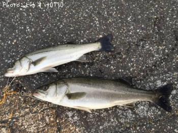 �����Х�