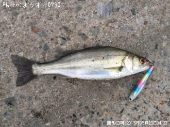 �����Х�