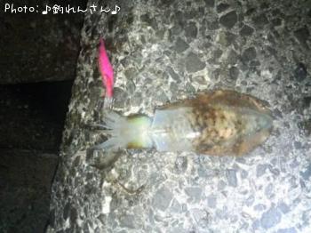 �屨±