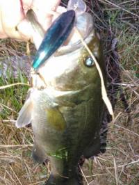 �֥�å��Х�