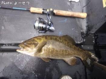 �������Х�